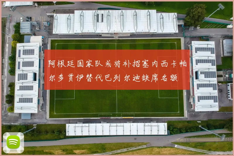 阿根廷国家队或将补招塞内西卡帕尔多贾伊替代巴列尔迪缺席名额
