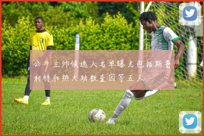 公牛主帅候选人名单曝光包括斯普利特和热火助教奎因等五人