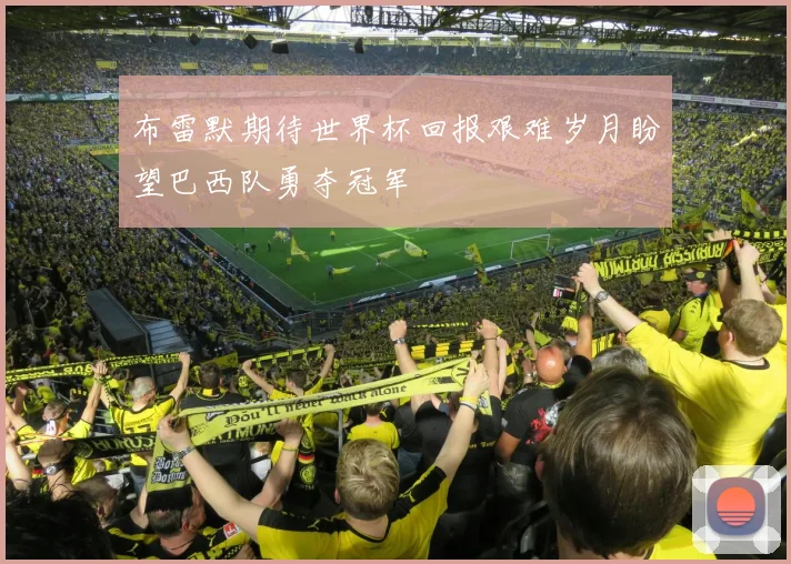布雷默期待世界杯回报艰难岁月盼望巴西队勇夺冠军